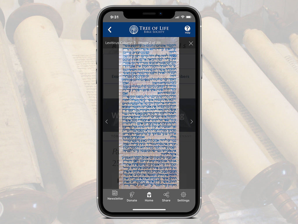 Ancient Scrolls on the TLV Bible App