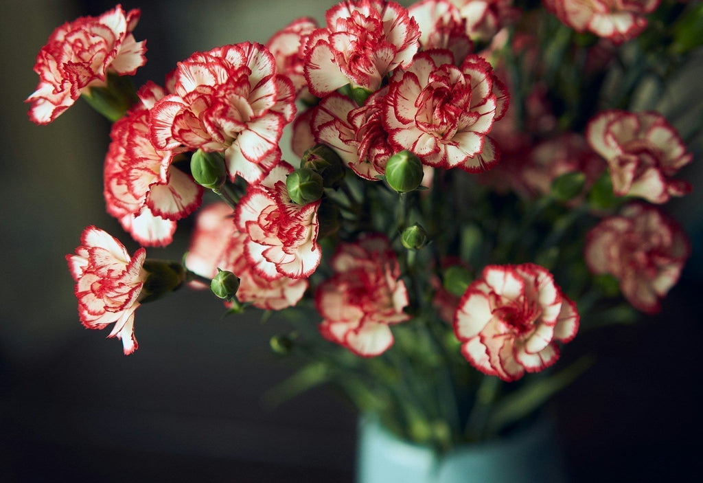 Carnations & Commandments