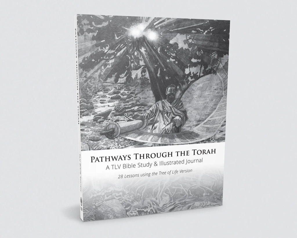 Pathways through the Torah: A TLV Bible Study & Illustrated Journal Acutrack