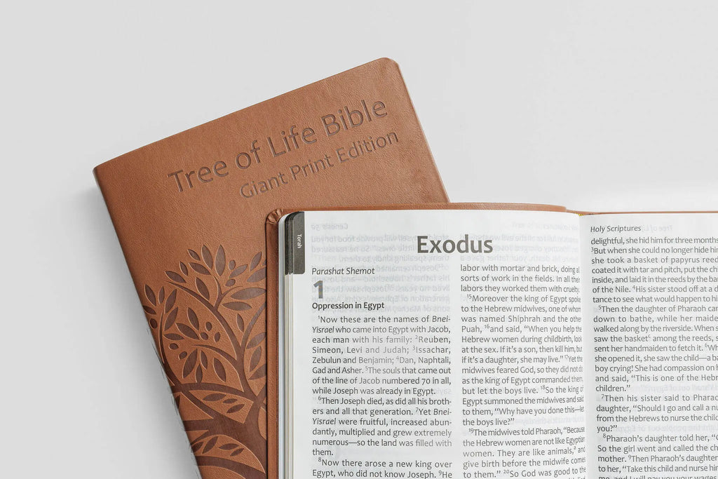 Tree of Life Bible: GIANT Print Edition Tree of Life Bible Society