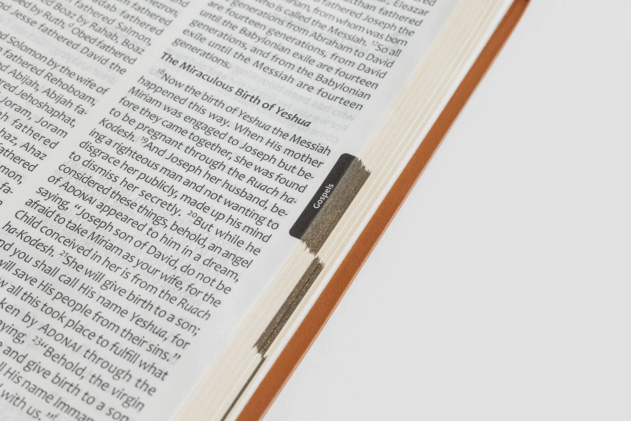 Tree of Life Bible: GIANT Print Edition – Tree of Life Bible Society