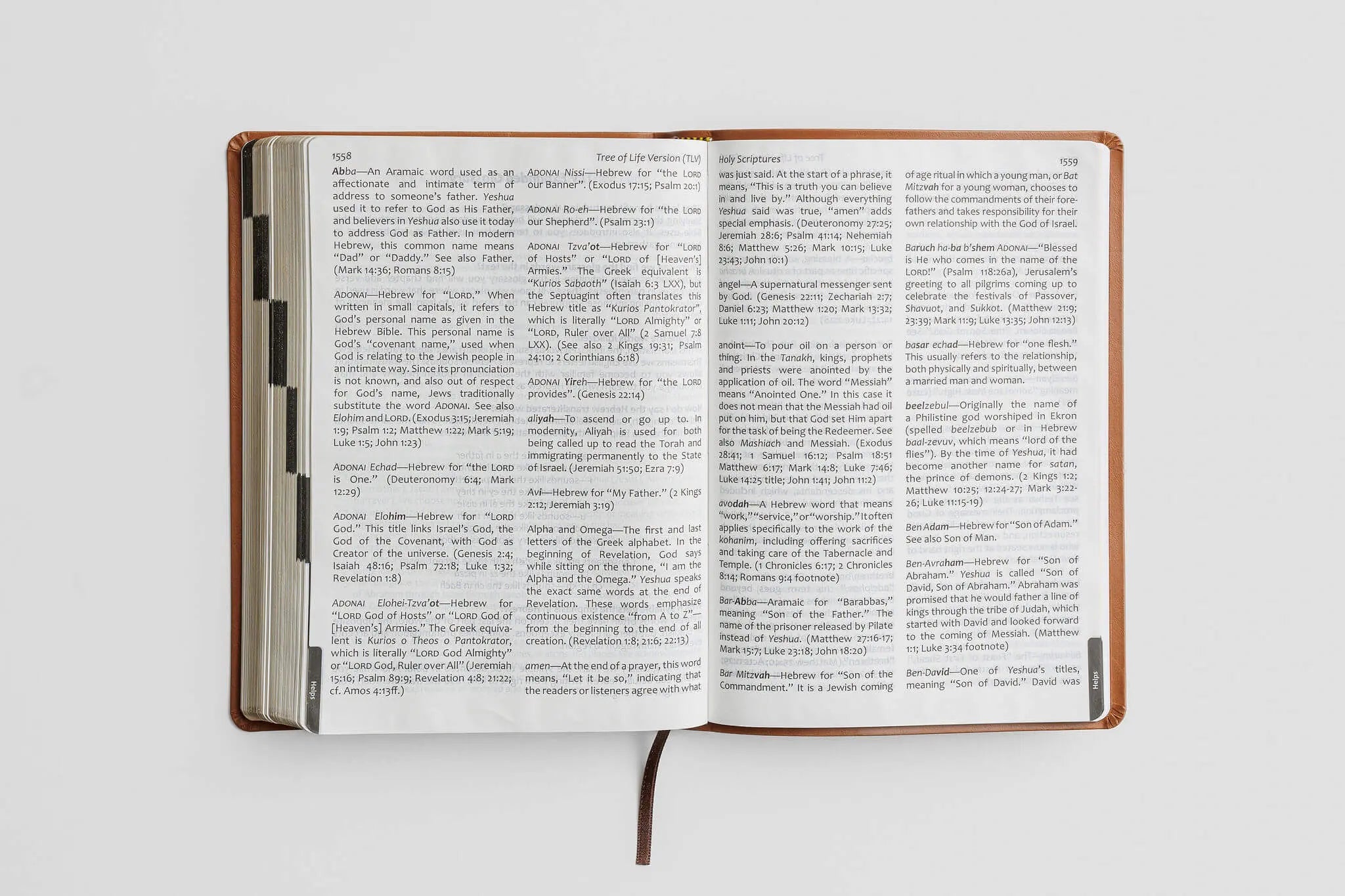 Tree of Life Bible: GIANT Print Edition – Tree of Life Bible Society